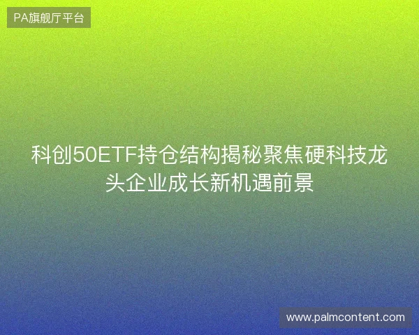 科创50ETF持仓结构揭秘聚焦硬科技龙头企业成长新机遇前景